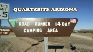 Roadrunner BLM - Quartzsite AZ