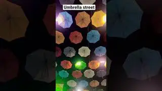 #umbrella #viral #turkey #umbrellastreet