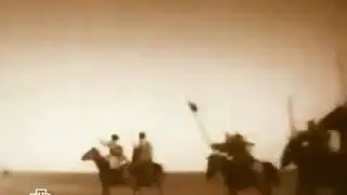 Дикая Девизия