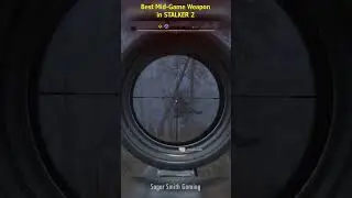 Best mid-game weapon in STALKER 2 | Guide 110 | Cluster Rifle | #stalker2tipsandtricks #stalker2