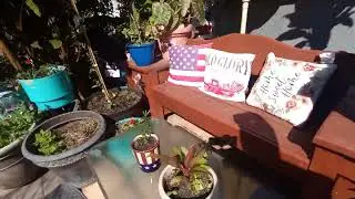 🌴pre winter Walkthrough 🌴Sat. Oct 5, 2024🌴Jose's Tropical Garden central NJ 🌴