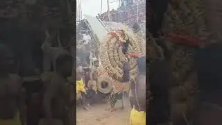 danda nacha maha milana nacha#dandanacha #maakali #dhulidanda #dhilidandanacha