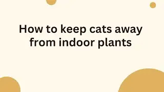 How to keep cats away from indoor plants