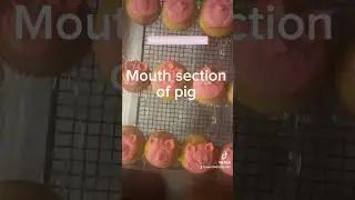 Making vanilla pig cupcakes!