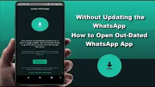 Как использовать устаревшую версию WhatsApp без обновления на Android-устройстве | 2022