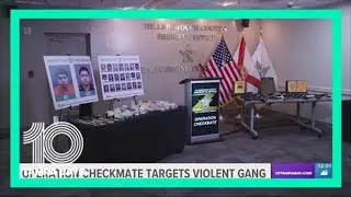 Hillsborough sheriff: Latin Kings gang leaders arrested in operation