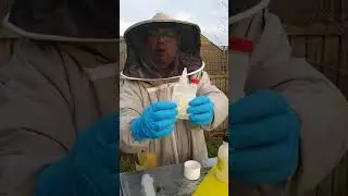 Oxalic Acid (Api Bioxal) trickle method