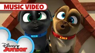 Happy Booty Dance Music Video | Puppy Dog Pals | @disneyjr