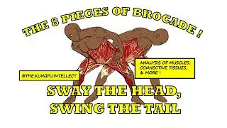 8 Pieces of Brocade - Sway the Head Swing the Tail