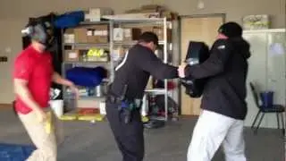 Officer Survival