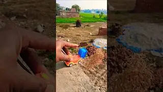 mini tractor bhusi loot Karke palta #farmequipment #toys 🙏💯👌💯🍀📌💖#harekfriendkaminahotah📌📌🙏🙏☘️☘️🌱🌴🫂