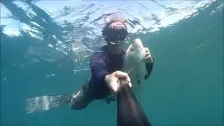 Gabriel Ng Pesca Submarina  Spearfishing 1 Octubre 2015