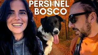 Una gita finita……BENE_ Senza indicazioni tra i boschi di Caglio