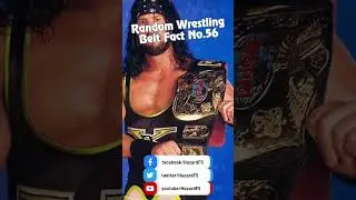 Classic WWF Tag Team Title Belts #shorts #wwe #wrestlemania #Collection WWE Replica Belt Review