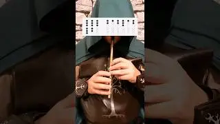 Hobbit party song tutorial #tinwhistle #lotr #lordoftherings