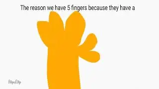 why we got 5 fingers?