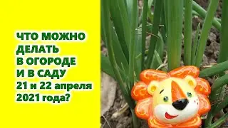 Что делать огородникам, садоводам, цветоводам 21 и 22 апреля 2021 года?