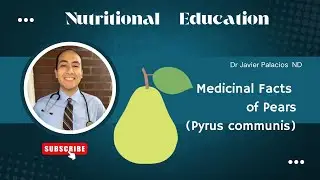 Medicinal Facts about Pears (Pyrus communis) | Naturopathic Living | Nutrition Education