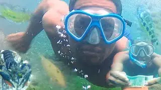exploring the caymanas river in Jamaica 🇯🇲 #crayfish #fish #diving #money #subsribe
