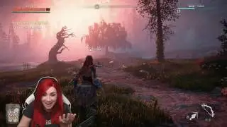 Killed Mount #1 | Beautiful Yet Sad