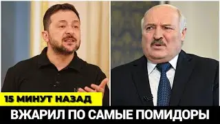 15 минут назад! Зеленский мощно бомбанул Лукашенко! Вжарил по самые помидоры!