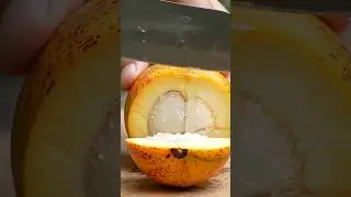 Mangaba Fruit 🍓 cut #fruitcutting #satisfying #relax #fruit #plumfruit #asmr