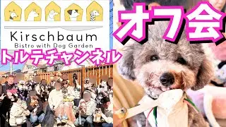 【犬のオフ会】トルテチャンネルが貸切ってオフ会やってみたらすご過ぎた💦【Kirschbaumキルシュバウム】店内犬OK！ドッグラン併設㏌大阪府茨木市