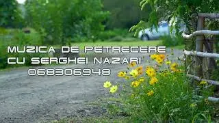 Ma cobor din deal in vale.🔥 Serghei Nazari✨️✨️✨️ (Cover) Tel-068306948