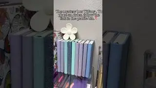 The mystery box Tiffany🌸.#bookishbundle #notebook #mysterbox #pen #smallbusiness #asmr #usa