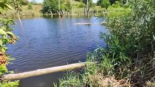 Xiaomi Mi9t - 1080p\30 fps\ Широкий угол - с рук. 20Мб.сек.