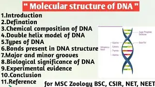 Molecular structure of DNA | Chemical composition | Double helix | Types | Bonds in DNA structure