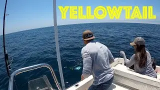 Small Boat Yellowtail and Calico Bass Fishing with CATCH AND COOK ||| HONEY HOLE FISHING