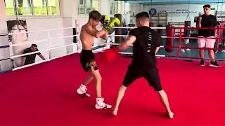 Cipi Raw vs Edwin Petrea 🫡🫵