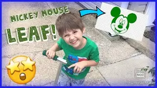 Mickey Mouse Leaf!! Surprise!