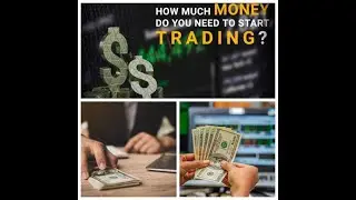 How Much Money Do You Really Need To Start Forex?