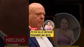 Gillis ontkent mishandeling van ex Nicol | #petergillis