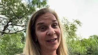 Strategic Thinking Domain | Life Coaching San Antonio | Live On Purpose Life Coach Connection