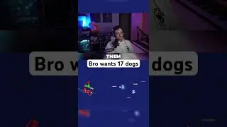 Like 1 isn&rsquo;t enough #aviamasters #planegame #viral #shorts #dog #streamer #videogames