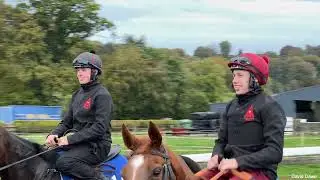 Anthony McCann Shabra Stables Open Morning Oct 22