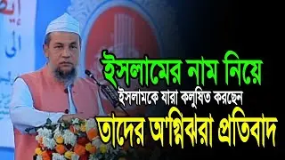 ইসলামের নাম নিয়ে যারা ইসলামকে কলুষিত করছেন তাদের জবাব | আল্লামা হুছামুদ্দীন চৌধুরী ফুলতলী