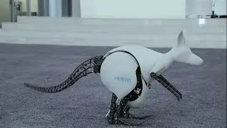 7 Amazing Animal Robots That Will Blow Your Mind