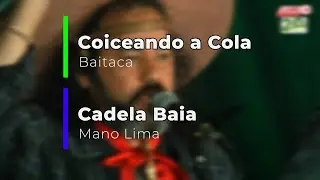 Coiceando a Cola e Cadela Baia!