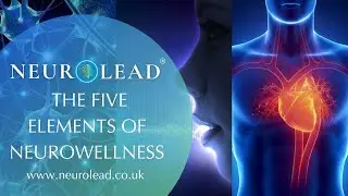 Neurowellness elements