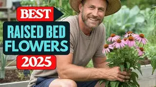 Best 7 Flowers for Raised Garden Beds 2025 &ndash; Grow More, Look Better