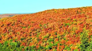 Beautiful Fall Colors In Minnesota 2020