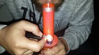 Nz seshinz