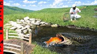 BUILDING a WALL to TRAP a Mystery FISH HIDING UNDER The BRIDGE!