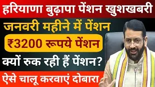 When will the old age pension installment of ₹3200 come || January 2026 Pension Update | when wil...
