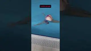 C&acirc;te dintre aceste trucuri de &icirc;not le stii? #swimming #shorts #technique