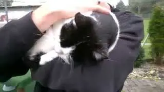 Lucky - mal auf dem Arm einkuscheln